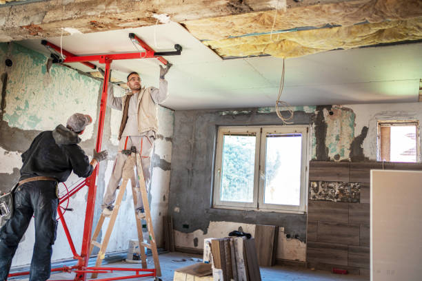 Best Insulation Removal  in Olivarez, TX