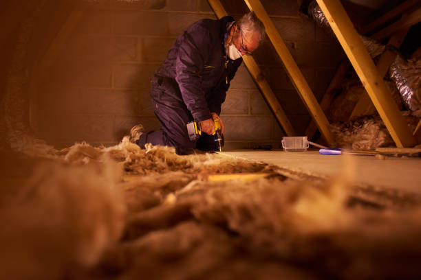 Garage Insulation Installation in Olivarez, TX